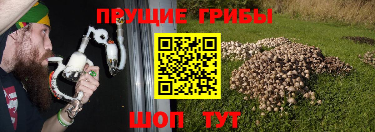 Псилоцибиновые грибы Magic Shrooms Камень-на-Оби
