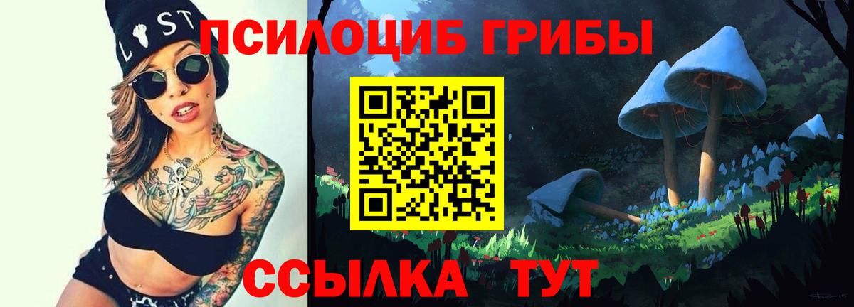 Галлюциногенные грибы MAGIC MUSHROOMS  Вход с VPN  Галлюциногенные грибы GOLDEN TEACHER  Камень-на-Оби 